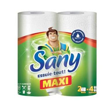 2 Essui Tout Multi-Surfaces Sany Maxi