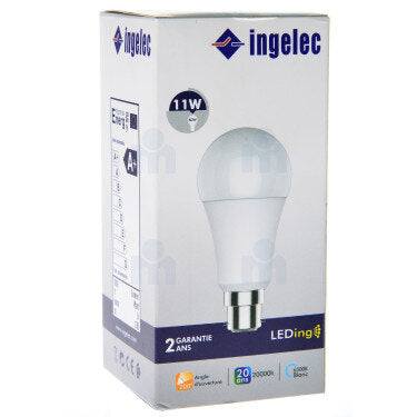Ampoule Accroches LED 11W B22 6500K Lumière Blanche  Ingelec