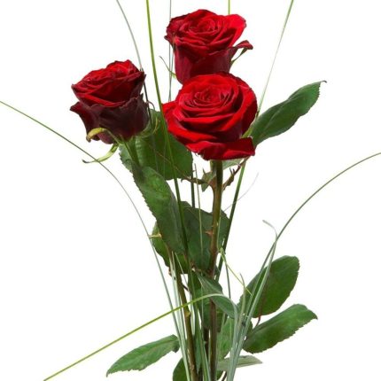 Bouquet de 3 Roses Rouge