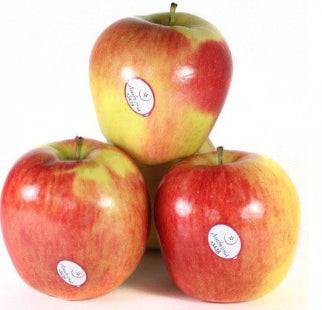 Pomme Pink Lady barquette 900g