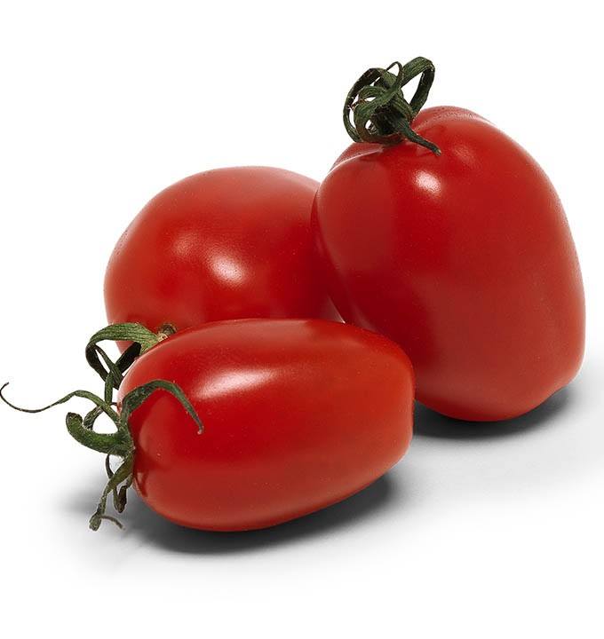 Tomates allongés 1kg